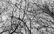 Ankerpunkte in einer turbulenten Zeit