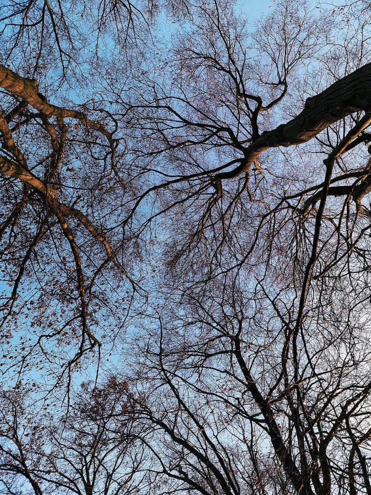 Symptome sind ein Teil des Systems