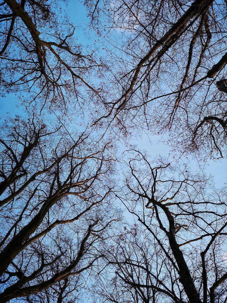 Von einem Moment zum Anderen