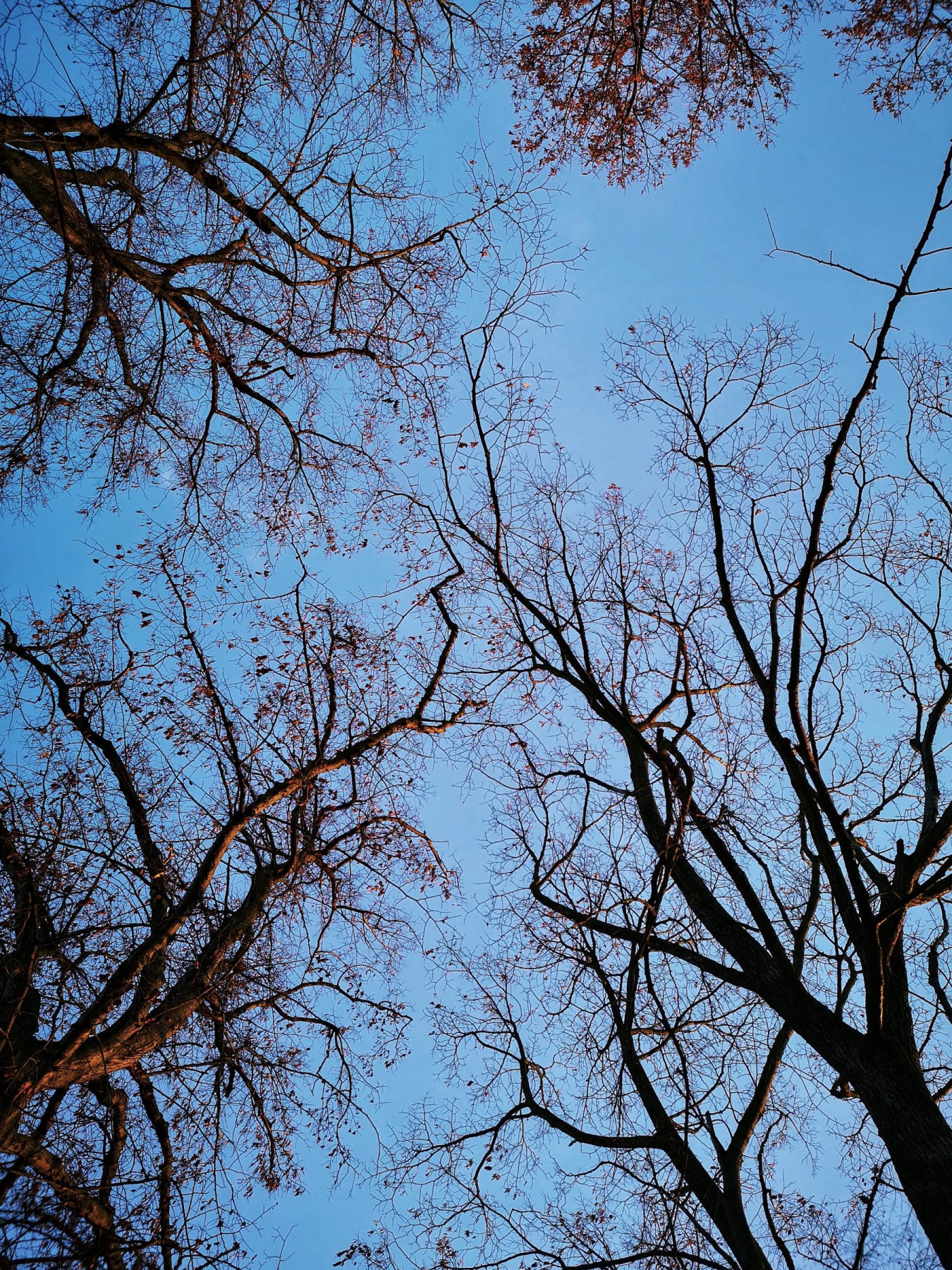 Paar- und Sexualtherapie, Systemische Therapie In Berlin - Einzeltherapie